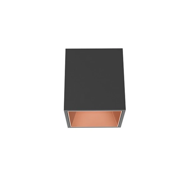 KAP ANT90882