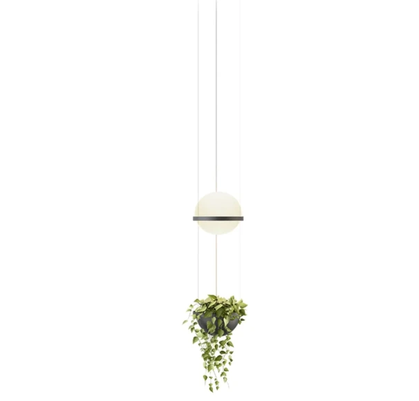 PALMA VIB00329